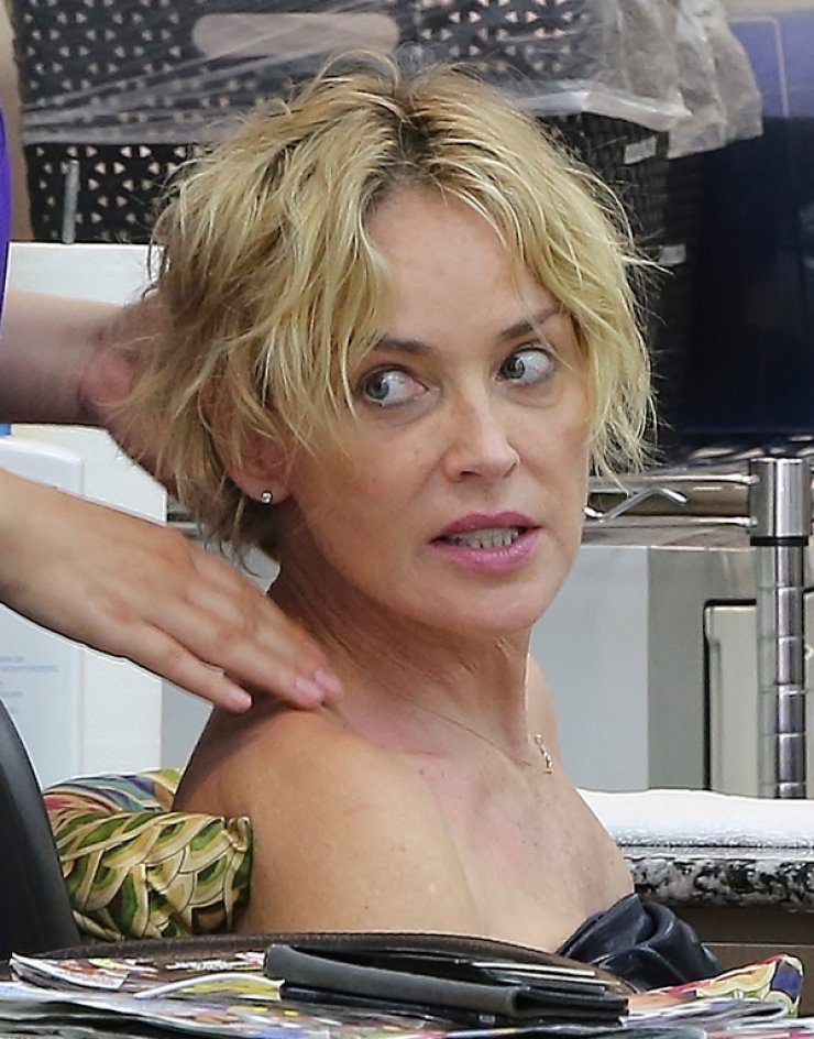 Sharon Stone: Ποια η καθημερινή της ασχολία; [εικόνες]