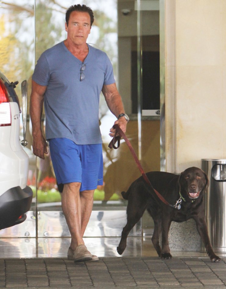 Δε θα πιστεύετε σε ποιον αστέρα του Hollywood αρέσουν οι selfies! [εικόνες]