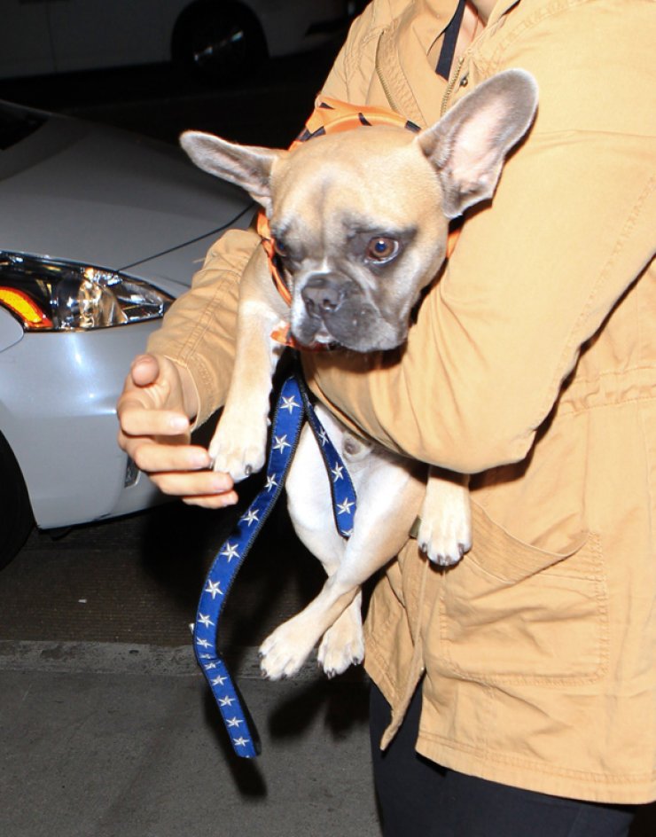 Η Lady Gaga απέκτησε νέο φίλο [εικόνες]