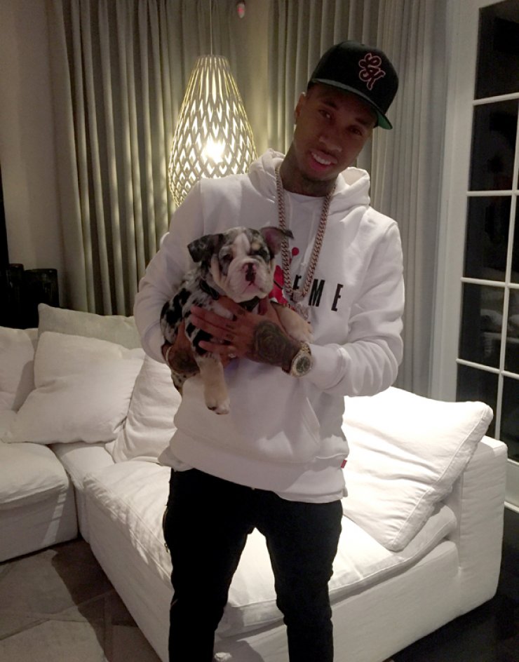 Kylie Jenner: Αγόρασε σκύλο αξίας 40,000 δολαρίων [εικόνες]