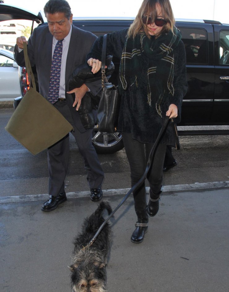 Αυτός είναι ο έρωτας της ζωής της Dakota Johnson [εικόνες]