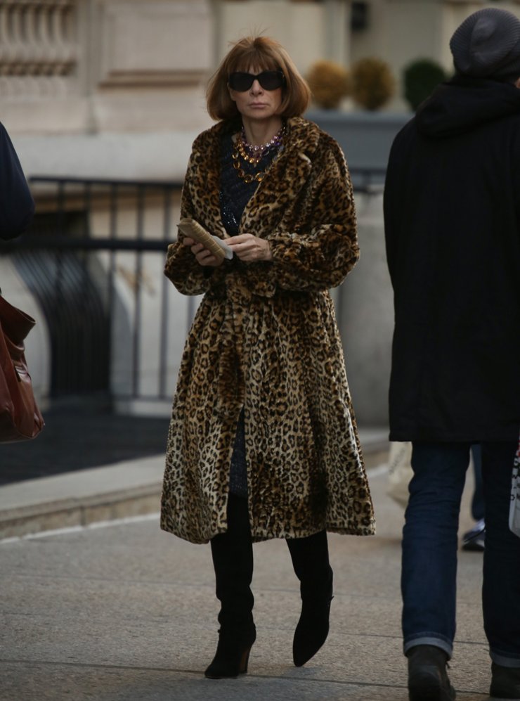 Πού βολτάρει η Anna Wintour;