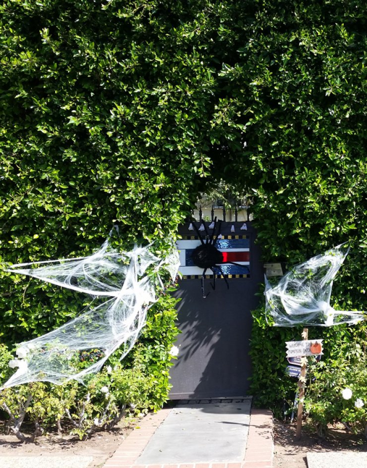 Ποιας διάσημης ηθοποιού γέμισε το σπίτι αράχνες; [εικόνες]