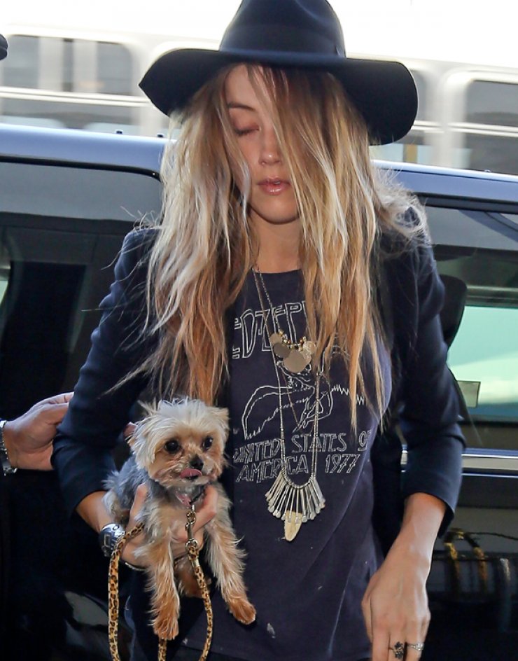 Αυτή είναι η μεγάλη αγάπη του Johnny Depp και της Amber Heard [εικόνες]