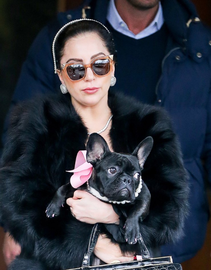 H Lady Gaga έχει τον πιο ωραίο σκύλο [εικόνες]