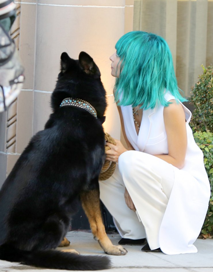 Δε θα πιστεύετε τι χρώμα έκανε τα μαλλιά της η Nicole Richie [εικόνες]