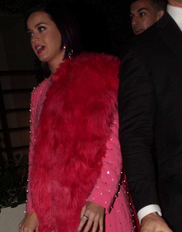 Η ανατρεπτική εμφάνιση της Katy Perry [εικόνες]