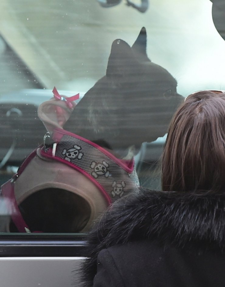 Περιπέτειες για τη Lady Gaga [εικόνες]