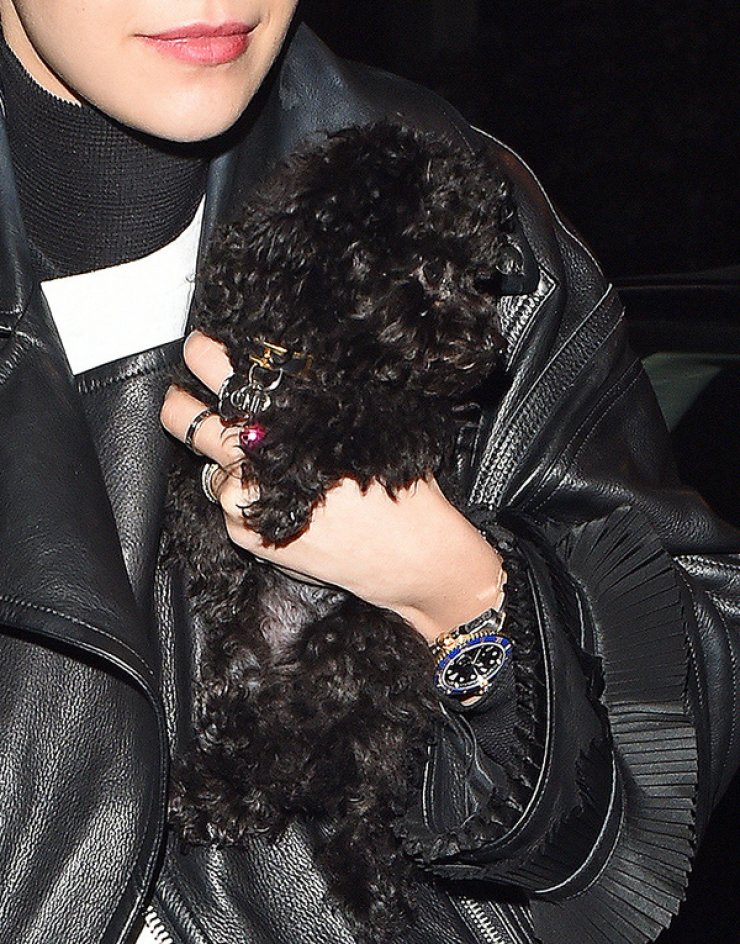 Η Rita Ora απέκτησε κουταβάκι [εικόνες]