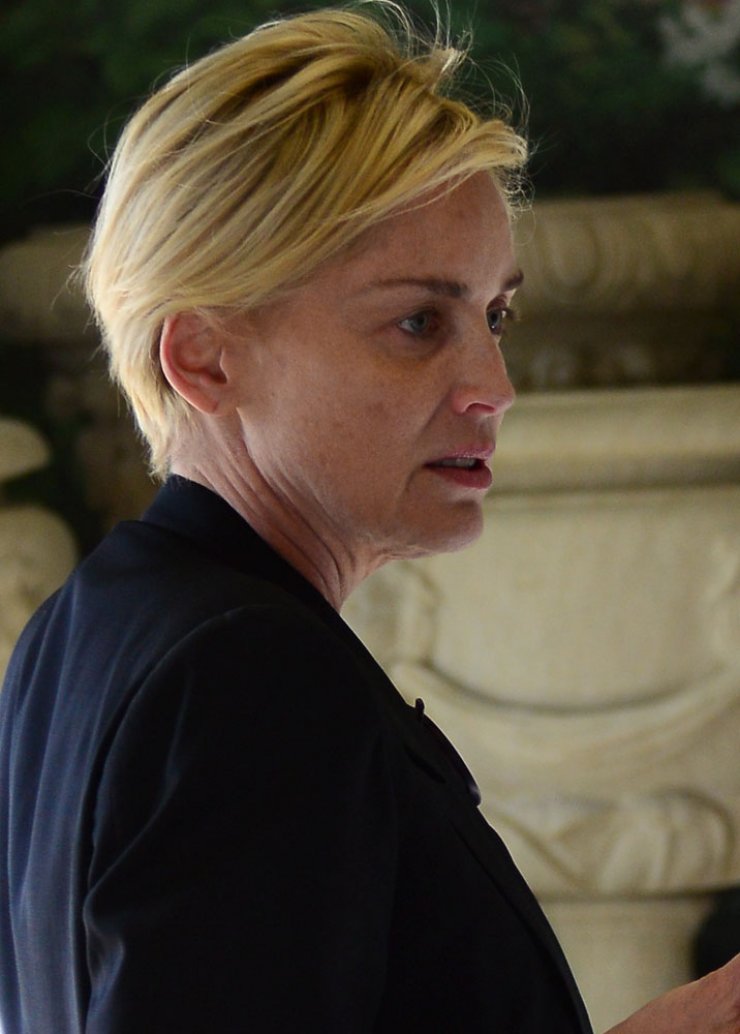 Η πρώτη δημόσια εμφάνιση της Sharon Stone μετά την είδηση για εγκεφαλικό [εικόνες]