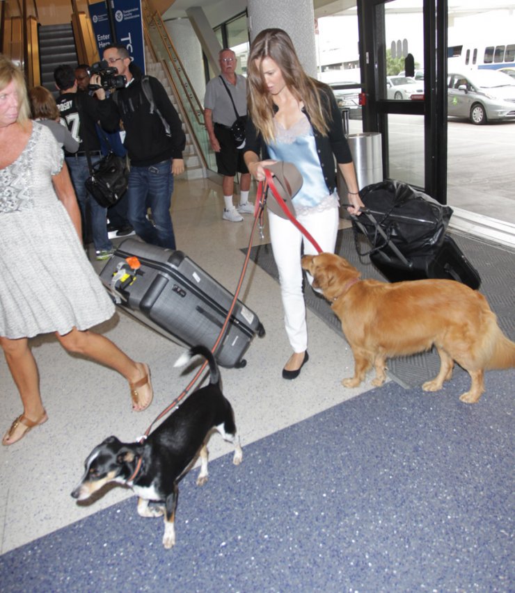 H Hilary Swank ταξιδεύει με τα σκυλιά της [εικόνες]