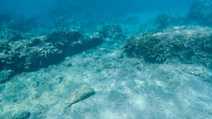 Θαλάσσιο Κολλαγόνο (Marine Collagen)