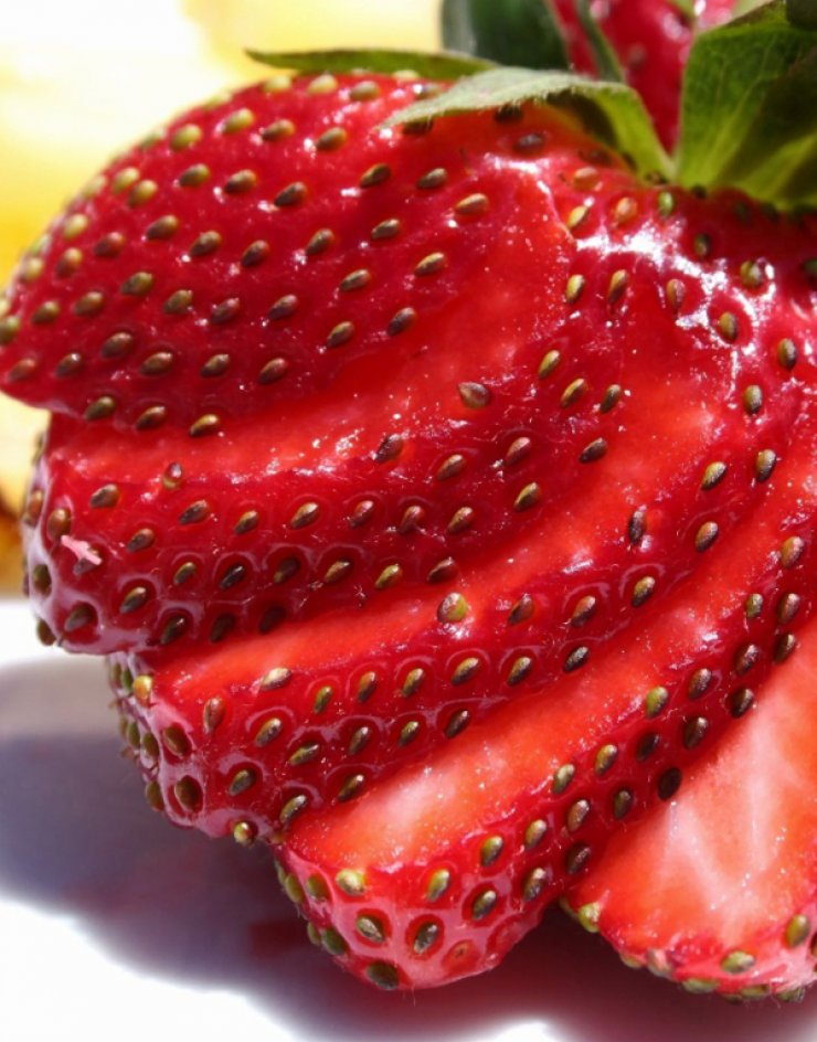 Το Μάιο η Δερύνεια θα γεμίσει φράουλες!