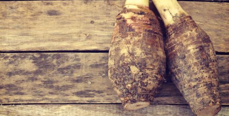 Απολαυστικό βίντεο: 4 γνωστοί Κύπριοι ηθοποιοί μας μαθαίνουν πως καθαρίζετε το κολοκάσι