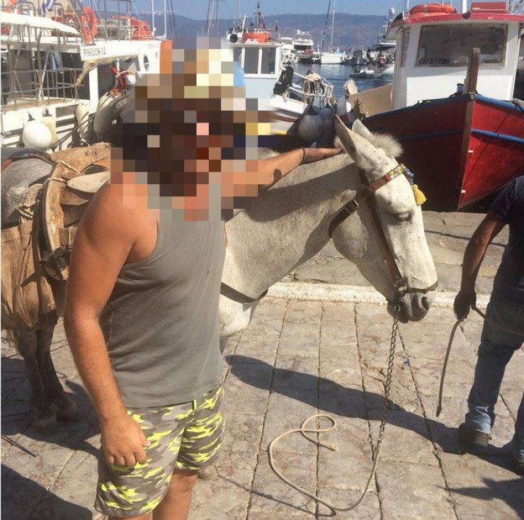 Ποιoς Κύπριος ηθοποιός αποκάλεσε τον εαυτό του "μουλάρι";