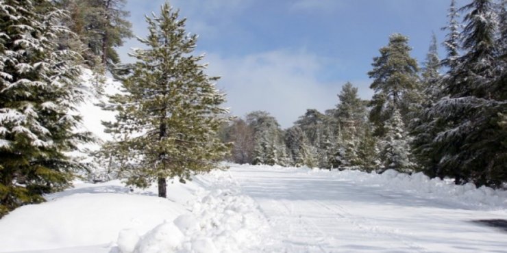Κλειστοί οι δρόμοι προς το Τρόοδος 