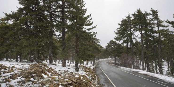 Ανοικτοί με αντιολισθητικές αλυσίδες οι δρόμοι προς Τρόοδος 