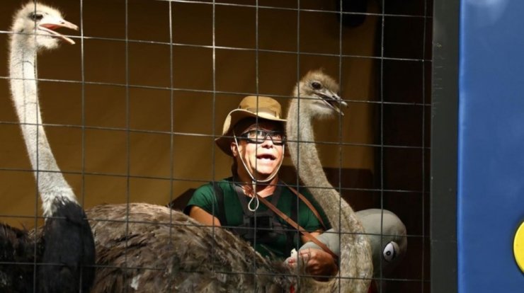 Τρύφωνας Σαμαράς: Η ξεχωριστή είσοδός του στο χθεσινό επεισόδιο του "Ι