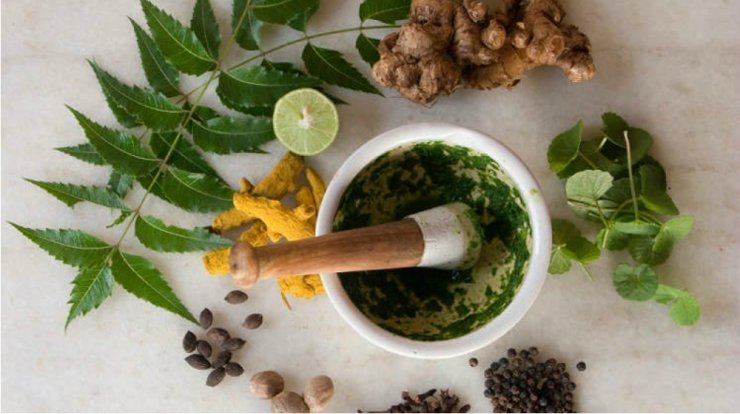 5 + 1 βότανα για αποτοξίνωση πριν το καλοκαίρι