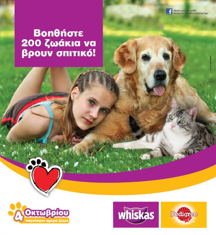 200 ζωάκια αναζητούν σπίτι