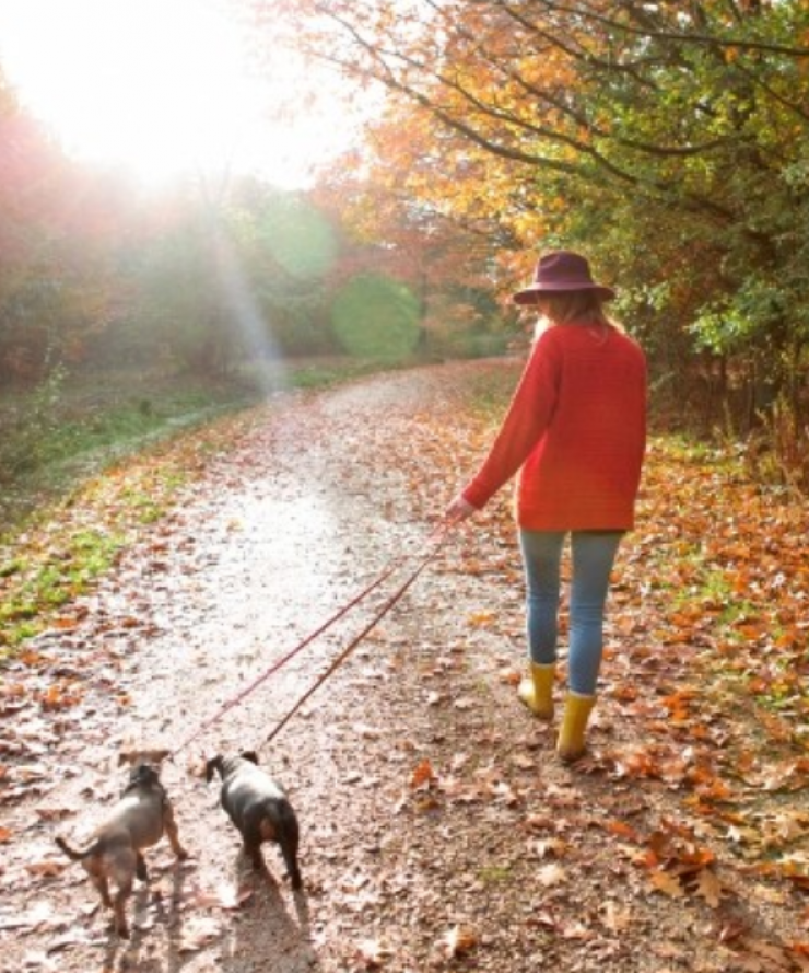 Ποια είναι η ιδανική άσκηση για το σώμα σας;