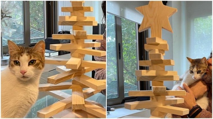 Κύπριος πρωταγωνιστής στόλισε το πιο πρωτότυπο Χριστουγεννιάτικο δέντρο