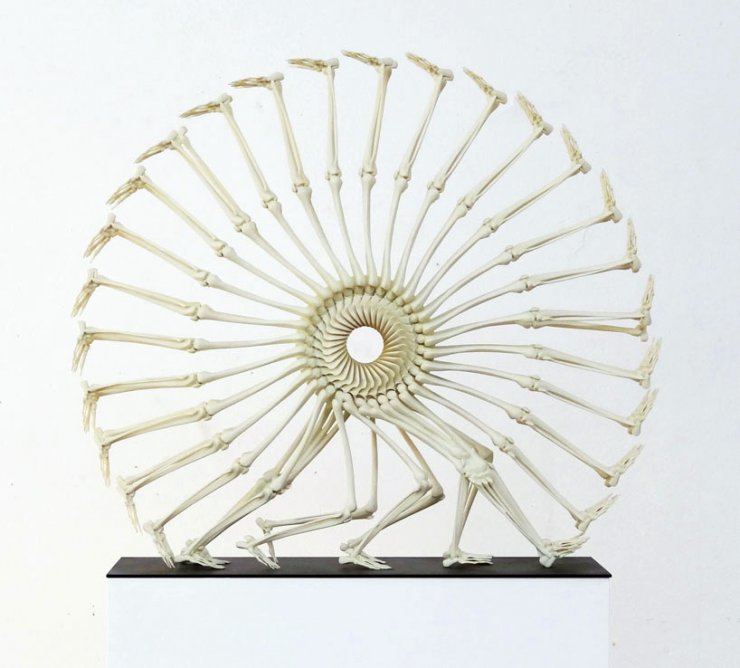 Ο τροχός της ζωής