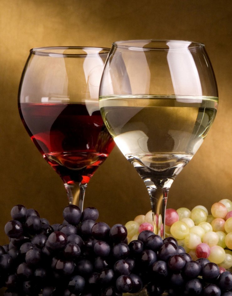 15 Κύπριοι oινοποιοί παρουσιάζουν τα κρασιά τους!