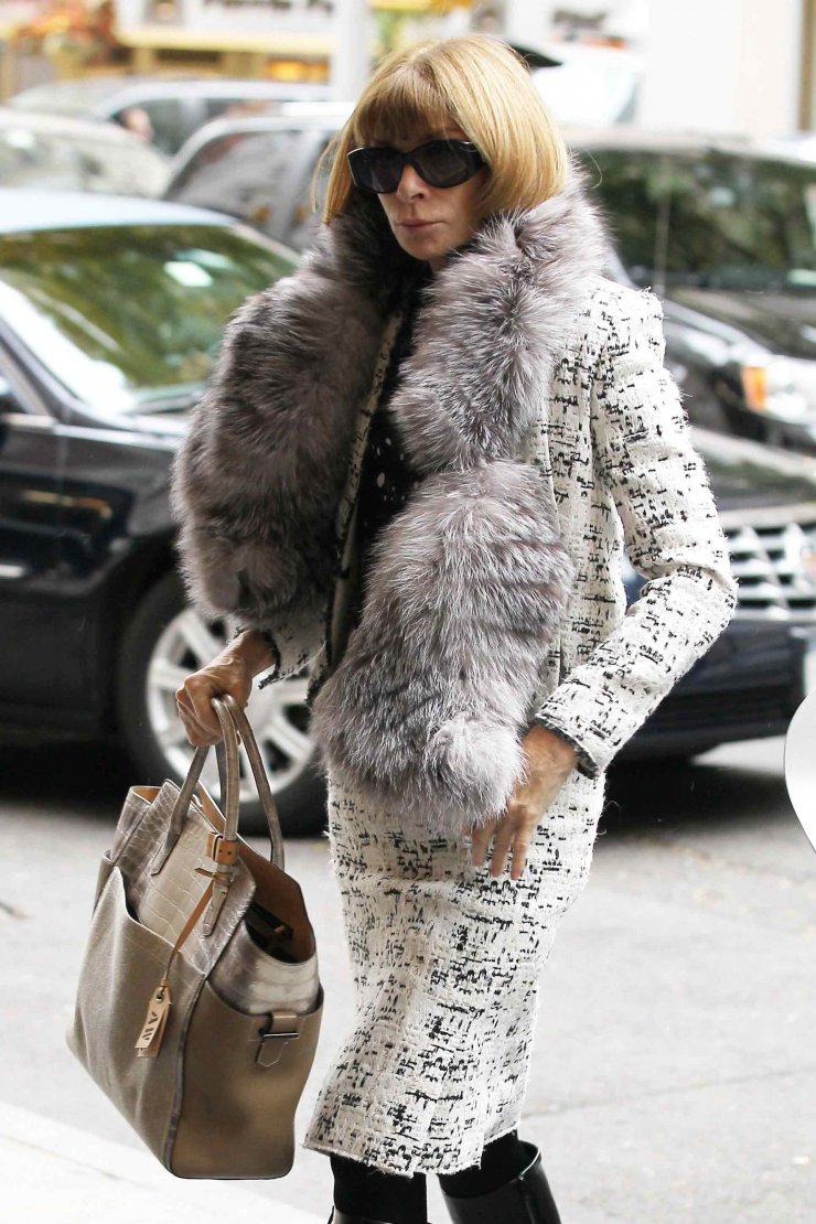 Anna Wintour: Αλλάζει καριέρα; 