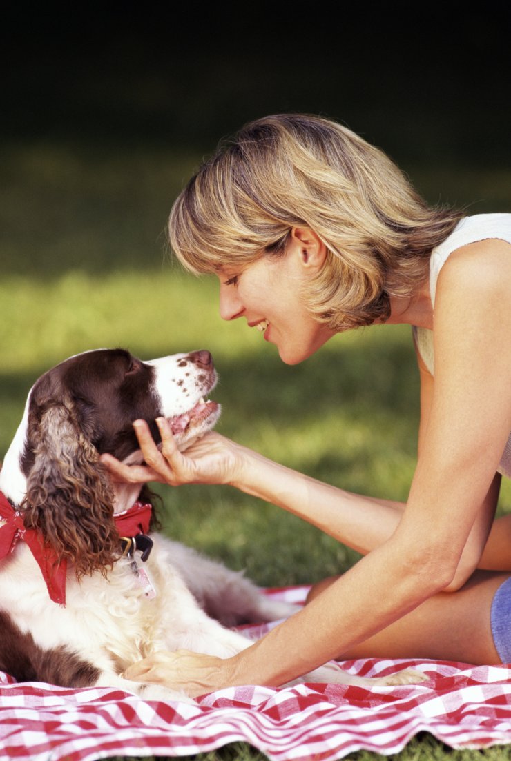 Πώς βλέπουν οι σκύλοι τα αφεντικά τους και γιατί αρνούνται να τα εγκαταλείψουν;