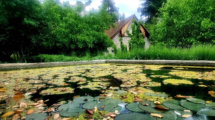 Ένα παραμυθένιο σκηνικό στο χωριό που αξίζει να ανακαλύψεις 