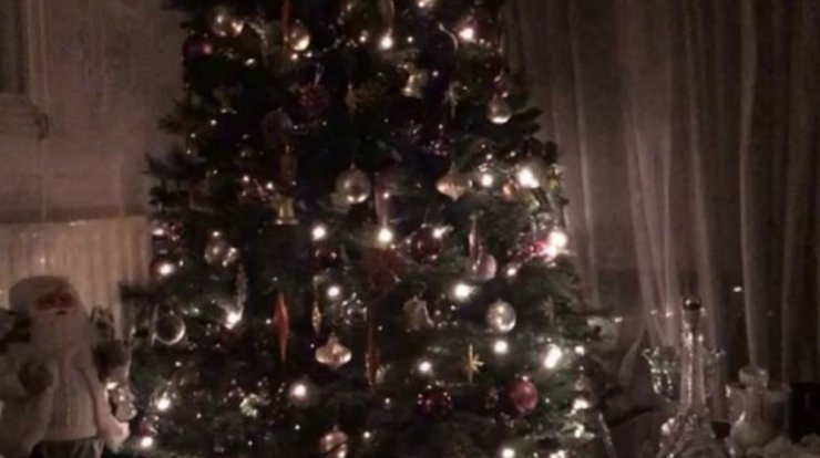 Είναι γεγονός! Μόλις είδαμε το πρώτο Χριστουγεννιάτικο δέντρο στην κυπριακή showbiz! [εικόνα]