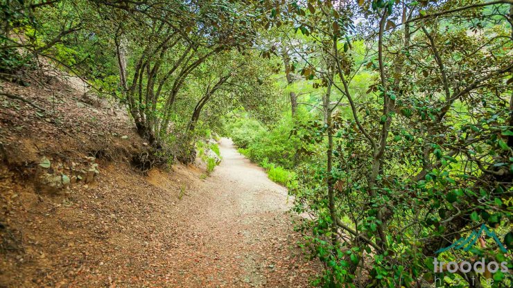 Το Εθνικό Δασικό Πάρκο Τροόδους μέσα απο τα μάτια ενός drone [Bϊντεο]