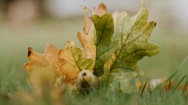 Τι προβλέπουν τα ζώδια για την Τετάρτη 9 Οκτωβρίου 2019;