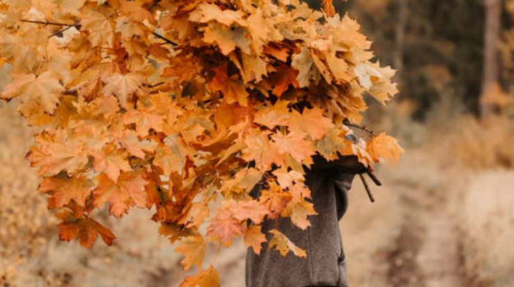 Τι προβλέπουν τα ζώδια για τη Δευτέρα 14 Οκτωβρίου 2019;