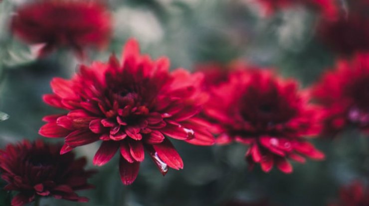 Τι προβλέπουν τα ζώδια για την Πέμπτη 3 Οκτωβρίου 2019;