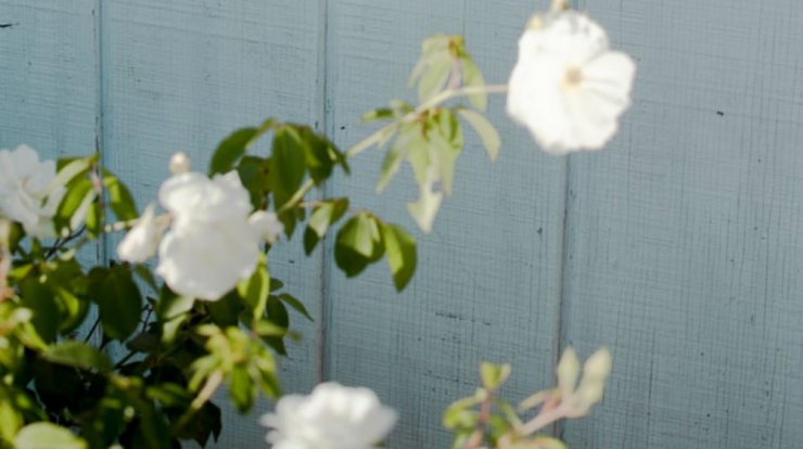 Τι προβλέπουν τα ζώδια για την Τετάρτη 21 Αυγούστου 2019;