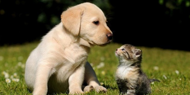 Επισήμως πολιτικό κόμμα το