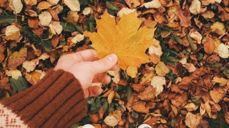 Τι προβλέπουν τα ζώδια για την Τετάρτη 11 Οκτωβρίου 2023;