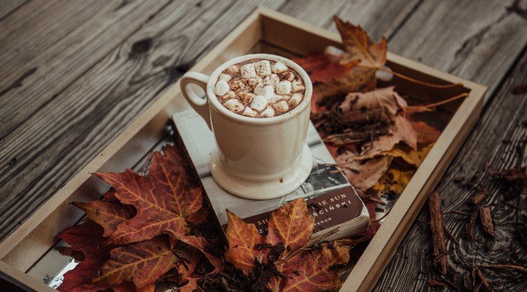 Τι προβλέπουν τα ζώδια για τη Δευτέρα 12 Δεκεμβρίου 2022;
