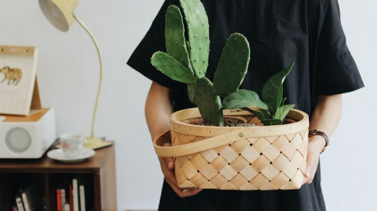 Τι προβλέπουν τα ζώδια για την Κυριακή 13 Δεκεμβρίου 2020;