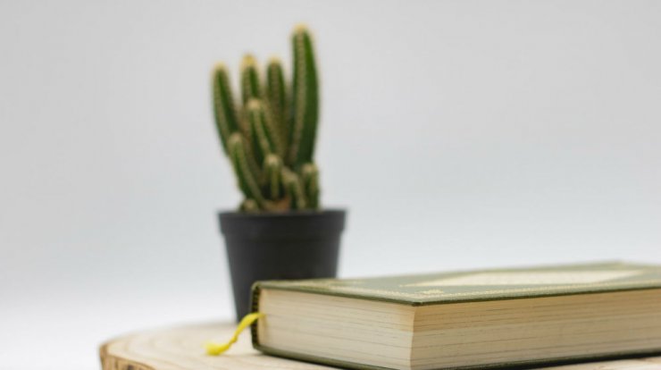 Τι προβλέπουν τα ζώδια για την Πέμπτη 13 Φεβρουαρίου 2020;