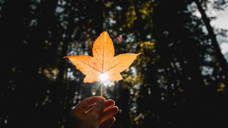 Τι προβλέπουν τα ζώδια για την Τετάρτη 14 Οκτωβρίου 2020;