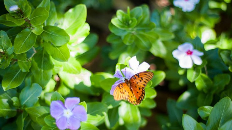 Τι προβλέπουν τα ζώδια για την Παρασκευή 15 Μαρτίου 2019;