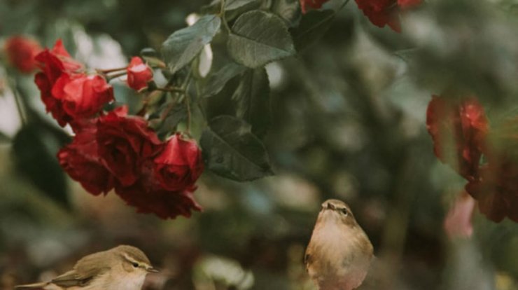 Τι προβλέπουν τα ζώδια για την Τρίτη 1 Οκτωβρίου 2019;