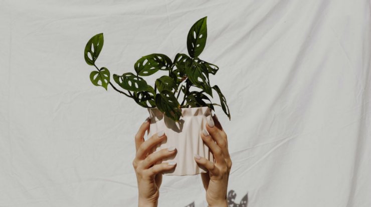 Τι προβλέπουν τα ζώδια για την Παρασκευή 10 Μαϊου 2019;