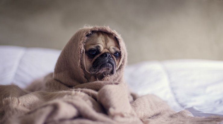 Τι προβλέπουν τα ζώδια για την Τρίτη 3 Δεκεμβρίου 2019;