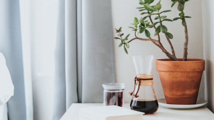 Τι προβλέπουν τα ζώδια για την Παρασκευή 20 Μαρτίου 2020;