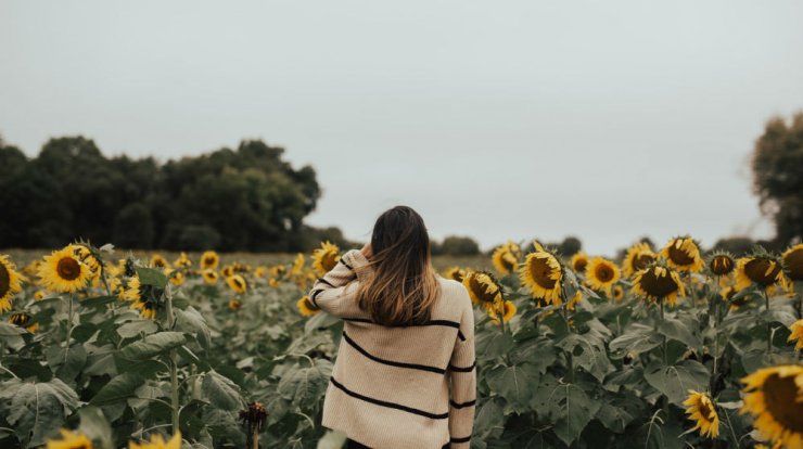 Τι προβλέπουν τα ζώδια για την Τρίτη 5 Νοεμβρίου 2019;