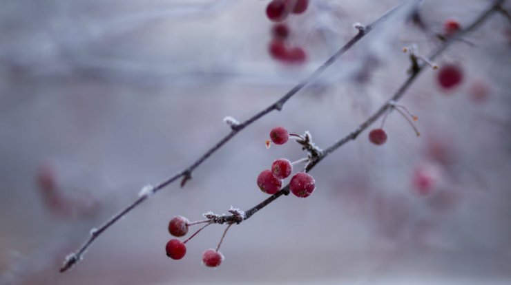 Τι προβλέπουν τα ζώδια για την Πέμπτη 2 Ιανουαρίου 2020;